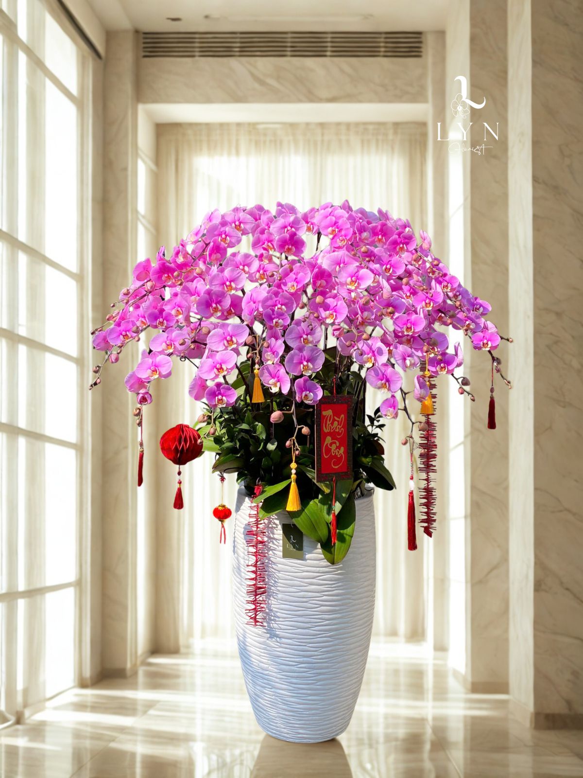 Chậu Hoa Lan Hồng Hanna